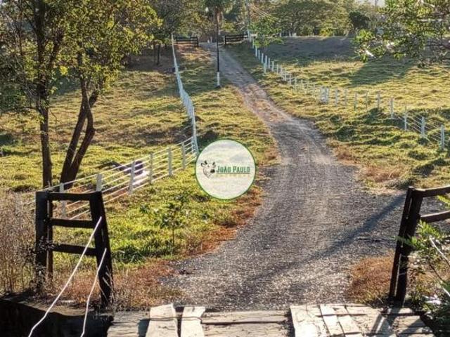 Fazenda a venda em Vila Propício GO 250 Hectares Estruturada e funcional Beira do