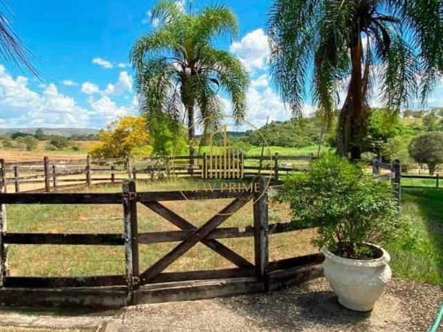 FAZENDA Á VENDA / HARAS PREMIUM – 205 HECTARES – PARAOPEBA MG