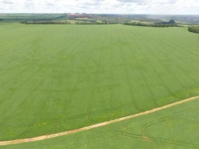 Fazenda a venda, Jataí, Goiás, 494 Hectares, terra de lavoura