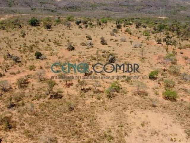 Fazenda à Venda: Oportunidade de 485 ha para Pecuária em Localização Privilegiada