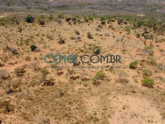 Fazenda à Venda: Oportunidade de 485 ha para Pecuária em Localização Privilegiada