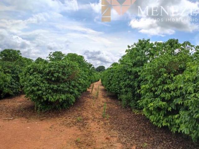 Fazenda à venda localizada em Botelhos