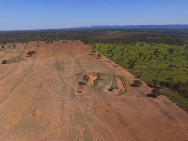 FAZENDA A VENDA MUNICÍPIO DE CÁCERES MT