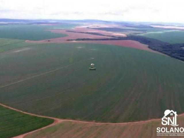 Fazenda a Venda Município: entre paredão e primavera MT