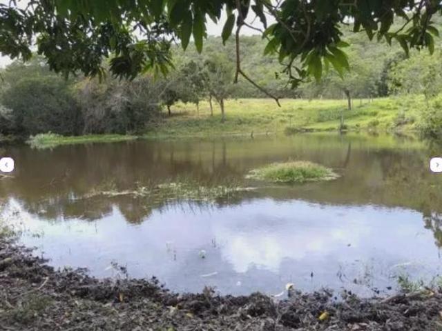 Fazenda à venda no Centro, com área total de 266.200 m²