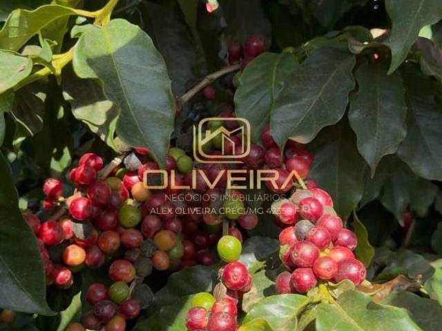 Fazenda à Venda no Abacaxi Patrocínio/MG