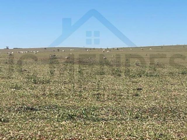 Fazenda à venda no bairro Área Rural de Presidente Venceslau Presidente Venceslau/SP