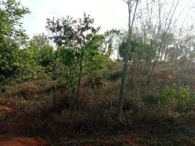 Fazenda à venda no bairro Boa Esperança Curvelo/MG
