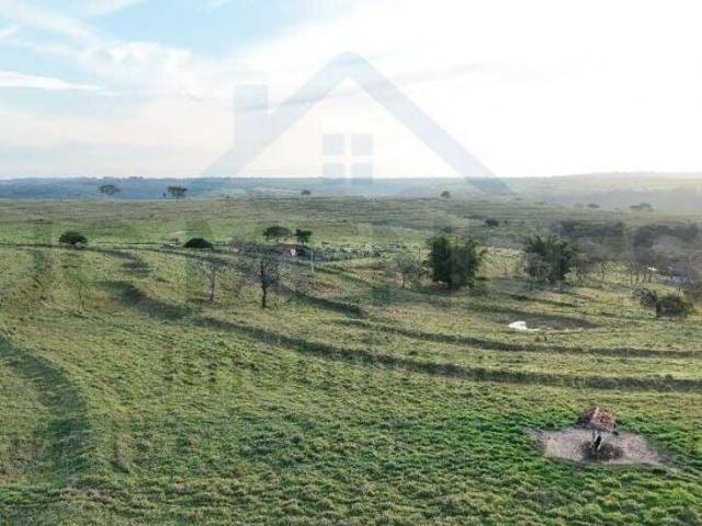 Fazenda à venda no bairro Centro Presidente Alves/SP