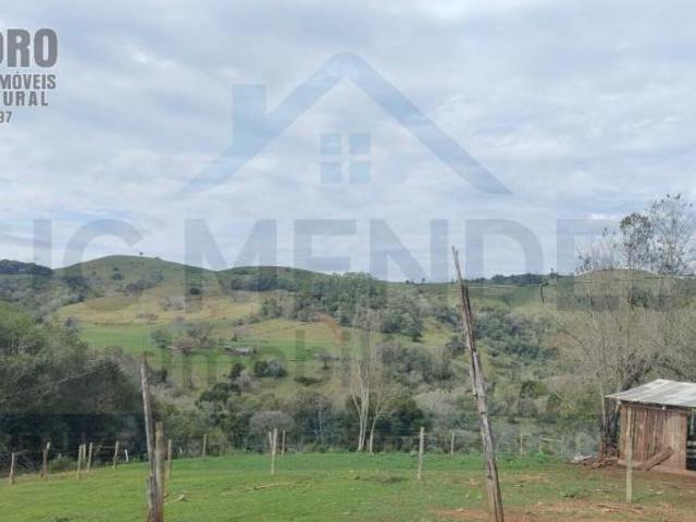 Fazenda à venda no bairro Centro Roncador/PR
