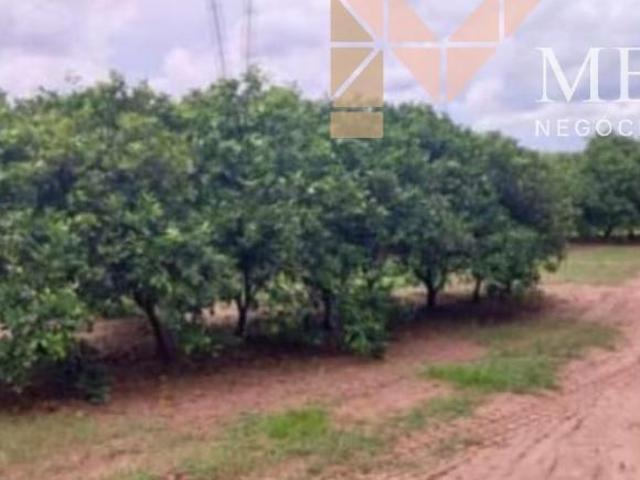 Fazenda à venda no município de Santa Rosa de Viterbo