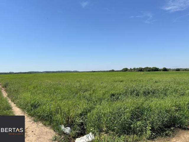 Fazenda à venda no Vale Verde RS 433 hectares. Ideal para Arroz e Soja