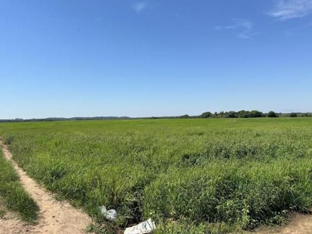 Fazenda à venda no Vale Verde RS 433 hectares. Ideal para Arroz e Soja