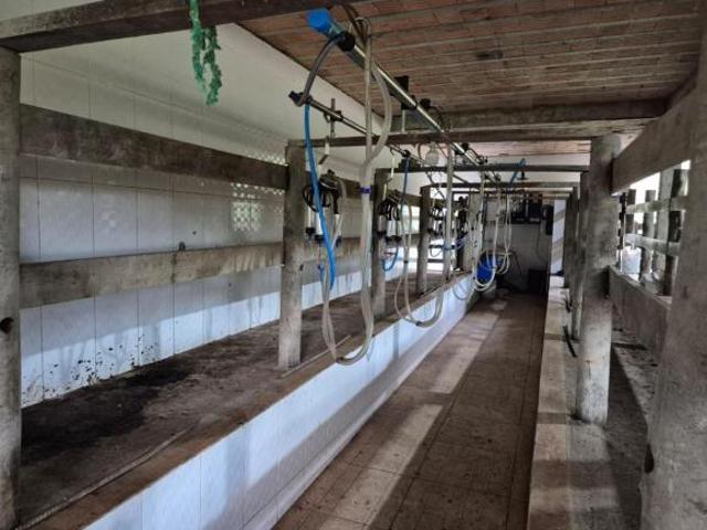 FAZENDA A VENDA NO VALE DO RIBEIRA REGIÃO DE REGISTRO SP* ? Área Total: 174 Alqueires Pastag