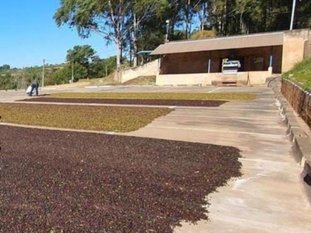 Fazenda à venda na região de Monte Santo de Minas