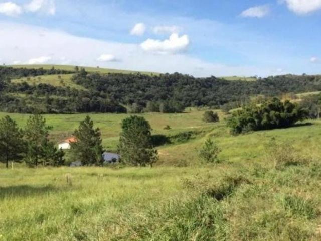 FAZENDA A VENDA NA REGIÃO DE BOTUCATU SP ? Aptidão: Pecuária de Corte Área Total: 100 Alqueir