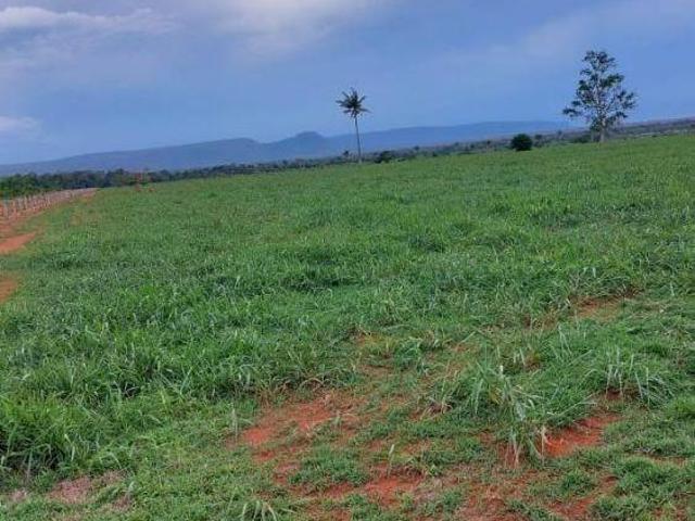 FAZENDA A VENDA NA REGIÃO DE CÁCERES MT!