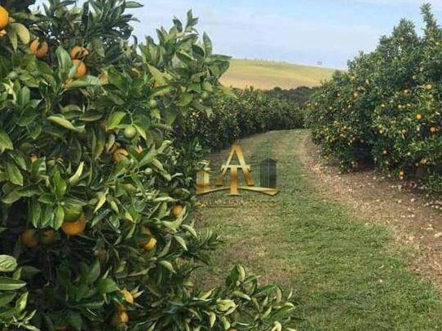Fazenda à Venda na Região de Casa Branca SP