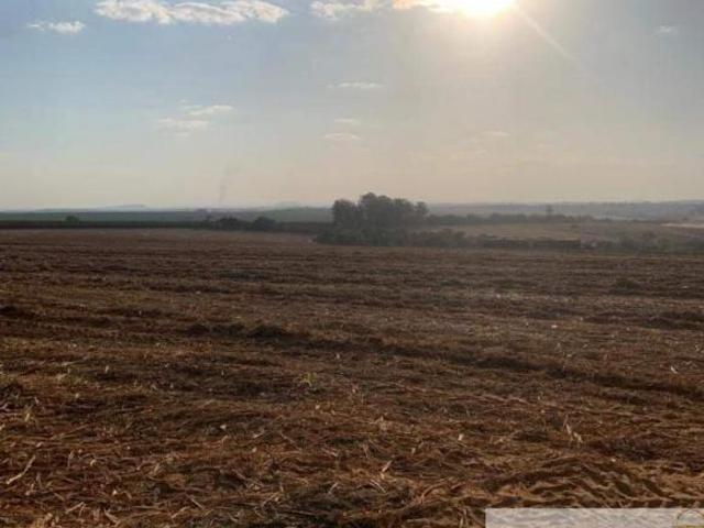 FAZENDA À VENDA NA REGIÃO DE CASA BRANCA/SP. COM 120 ALQUEIRES DE ÁREA TOTAL, COM CANA, PASTO E BENF