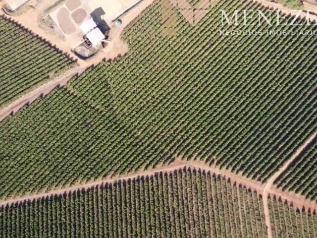 Fazenda à venda na região de Claraval/MG