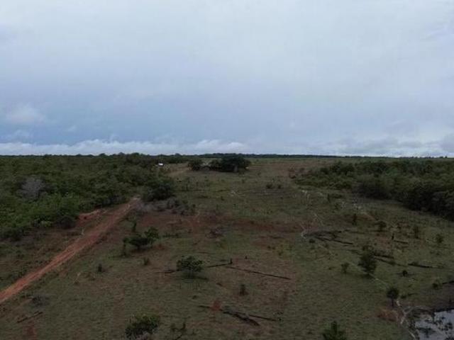 FAZENDA A VENDA NA REGIÃO DE JUÍNA MT!