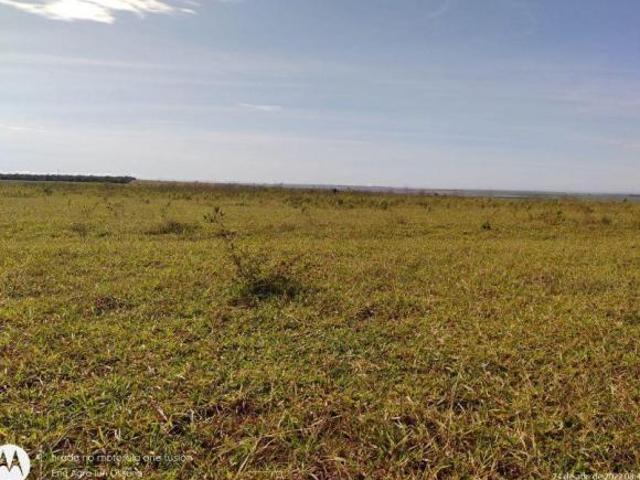 FAZENDA A VENDA NA REGIÃO DE JACIARA MT!