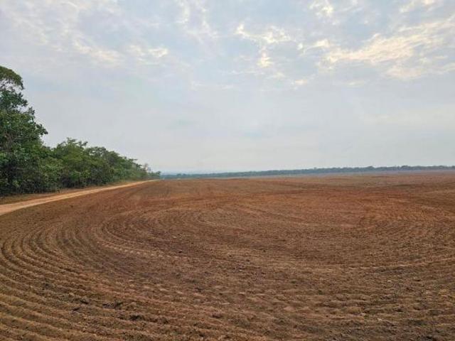 FAZENDA A VENDA NA REGIÃO DE PARANATINGA PR!