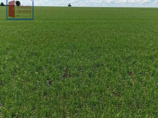 Fazenda a venda na região de Presidente ´Prudente com 380 alq