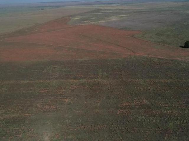 FAZENDA A VENDA NA REGIÃO DE PRESIDENTE PRUDENTE SP ? EXCELENTE OPORTUNIDADE DE NEGÓCIO E INVEST