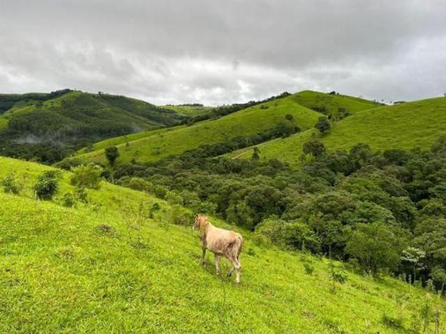 FAZENDA A VENDA NA REGIÃO DE RESERVA PR!