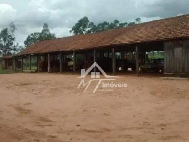 FAZENDA A VENDA NA REGIÃO DE ROSANA SP