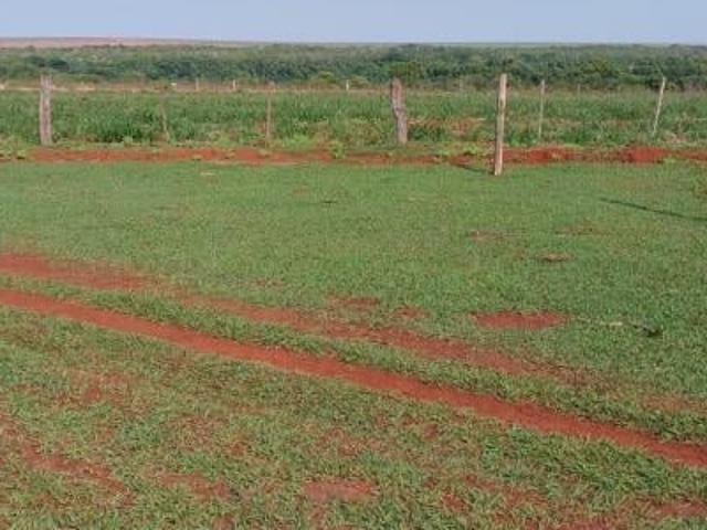 FAZENDA A VENDA NA REGIÃO DE TESOURO MT!