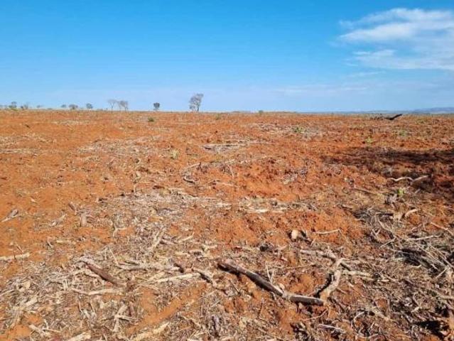 FAZENDA A VENDA NA REGIÃO DE TESOURO MT!