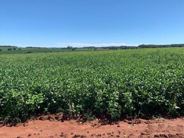 Fazenda à Venda na Região de Arceburgo – Sul de Minas Gerais H1