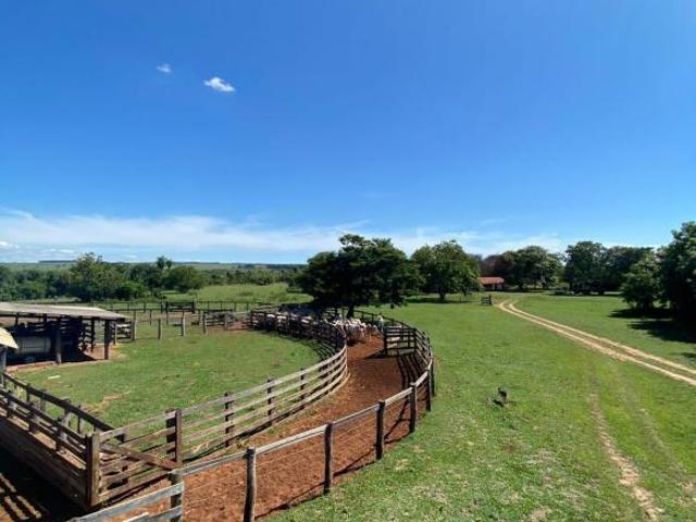 Fazenda à Venda na Região de Presidente Prudente – SP A2