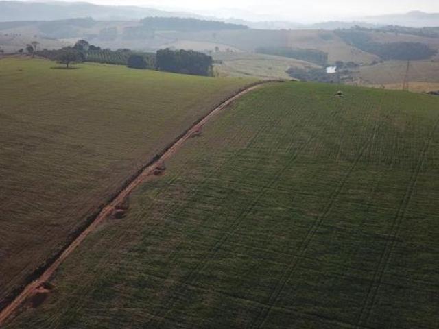 Fazenda à Venda na Região Sul de Minas – Barrania/MG Próxima a Caconde H1