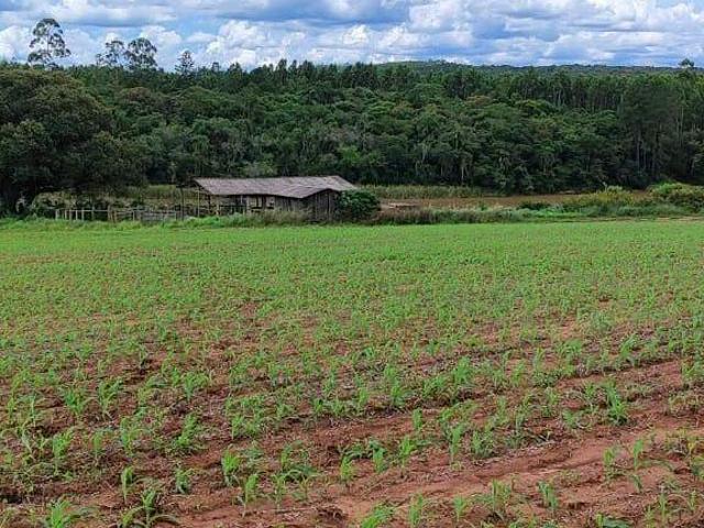 Fazenda a venda São Miguel Arcanjo SP