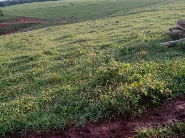 FAZENDA À VENDA SACRAMENTO MG 22 ALQUEIRES