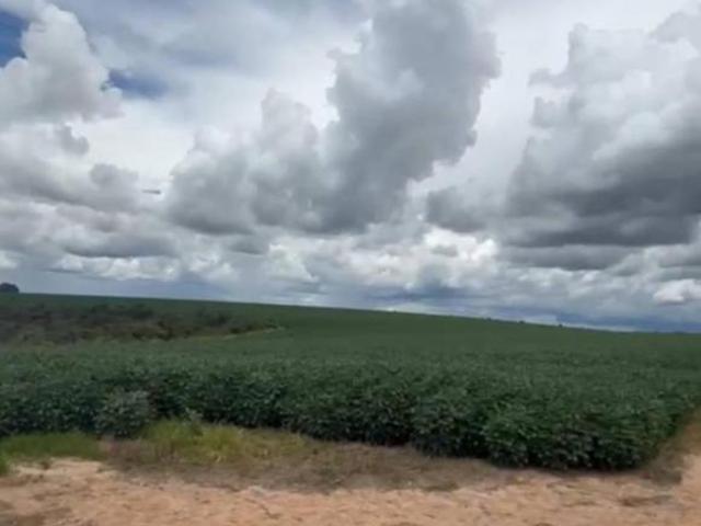 FAZENDA À VENDA – SERRA BONITA BURITIS MG