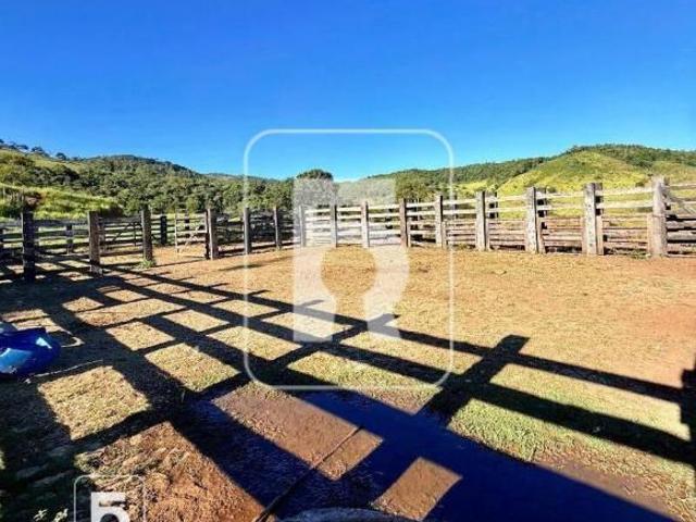 Fazenda a Venda Sitio Haras Rural