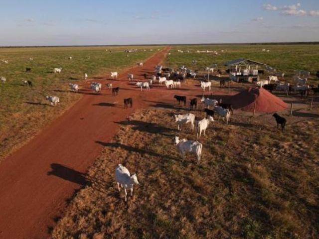 Fazenda a venda, Porto Alegre do Norte, Mato Grosso, 32 mil Hectares, 750 Milhões