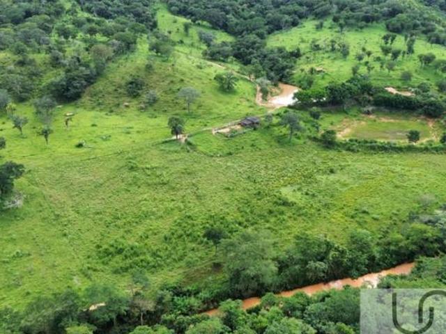 FAZENDA À VENDA PLANALTINA GO