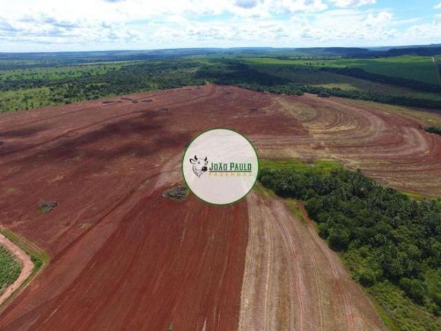 Fazenda a venda Prata MG 270 Hectares ALTO POTENCIAL PARA IRRIGAÇÃO