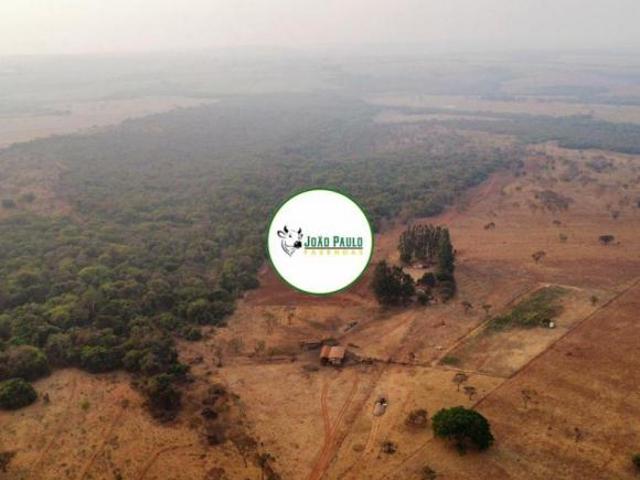 Fazenda a venda Prata MG 377 hectares Área para lavoura Divisa com laranja, cana e soja