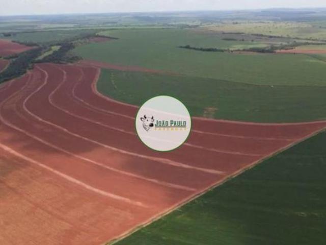 Fazenda a venda Prata MG 94 Hectares Área agricultável: 87 hectares Topografia: Plana