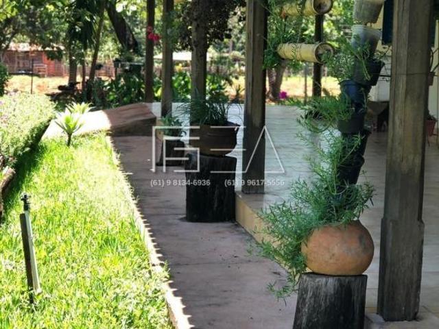 Fazenda à Venda: Propriedade de Alto Potencial com Recursos Naturais e Árvores Frutíferas