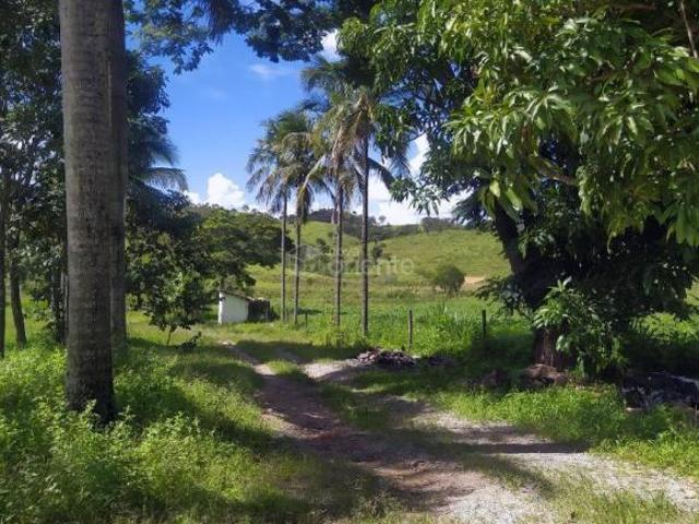 Fazenda à venda, Próximo a Leandro Ferreira Nova Serrana/MG