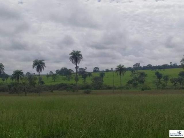 Fazenda à venda, PROXIMO ABAETE Abaeté/MG