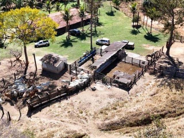 FAZENDA Á VENDA PRÓXIMO ALEXANIA GO
