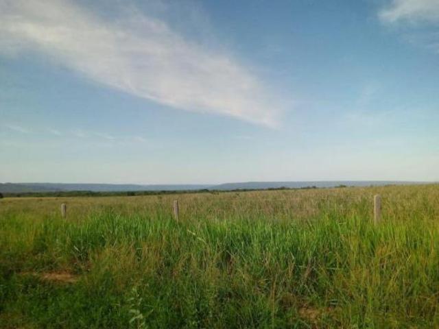 FAZENDA A VENDA REGIÃO DE NOBRES MT
